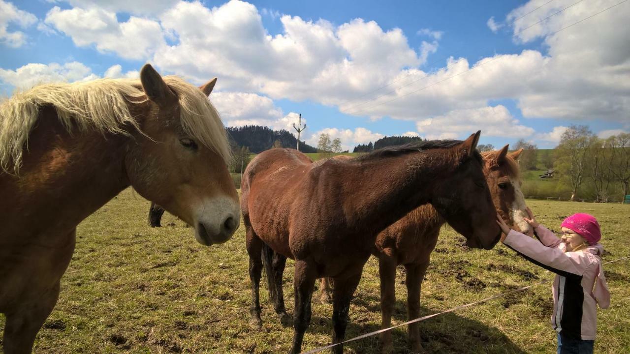 Apartmán 33 Teplice nad Metují Exteriér fotografie
