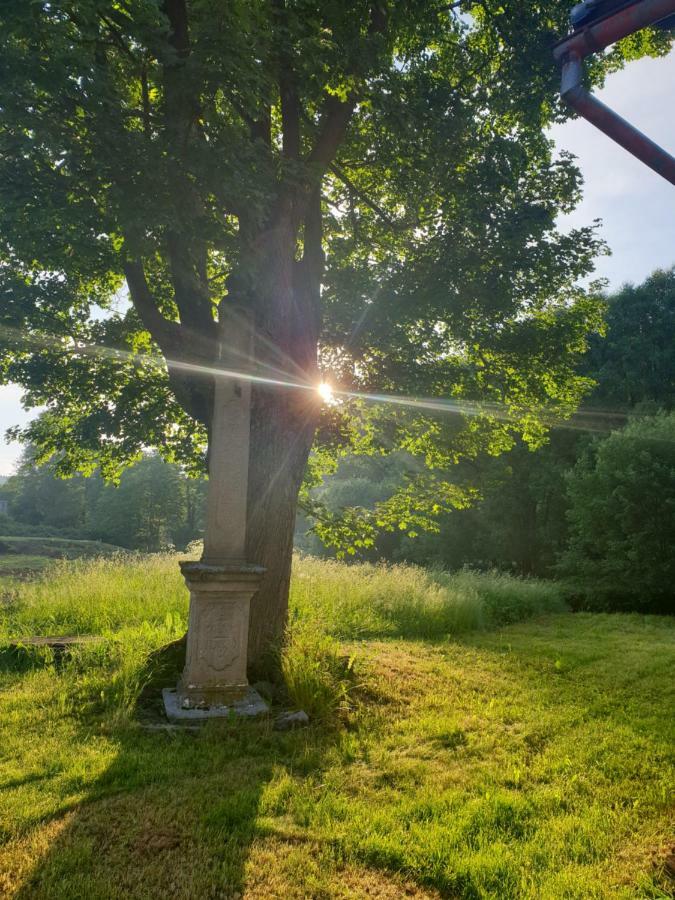 Apartmán 33 Teplice nad Metují Exteriér fotografie